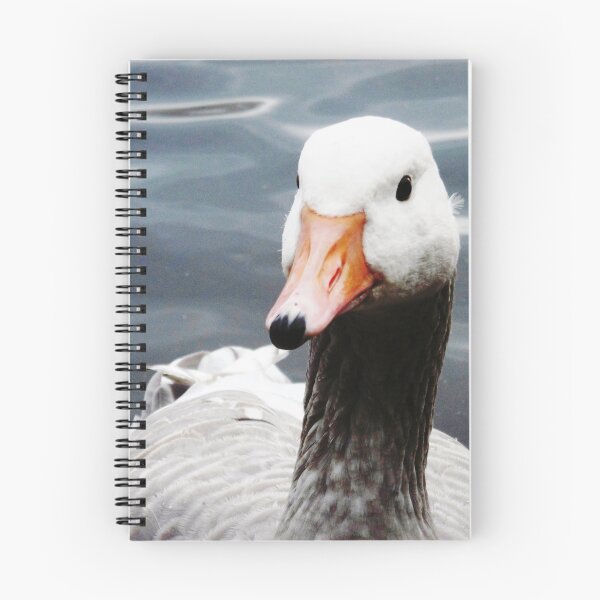 Item preview, swan Lake designed and sold by snaphappy1.