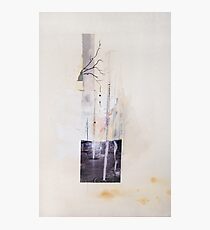 Fountain Photographic Print