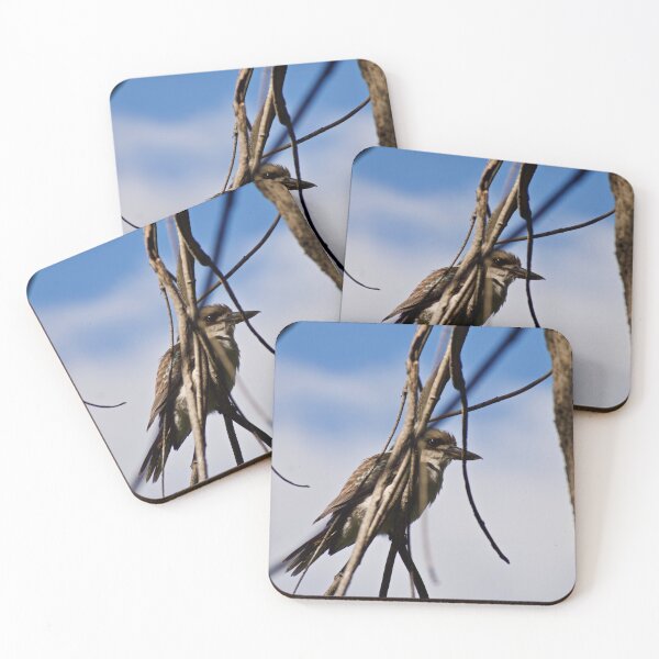 Item preview, Kookaburra Watcher designed and sold by peterhau.