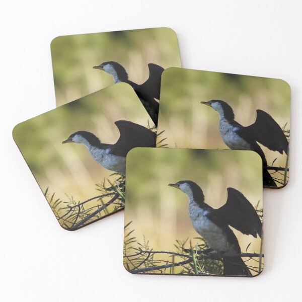 Item preview, Little Pied Cormorant designed and sold by DeborahMcGrath.