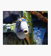 Shocked. Photographic Print