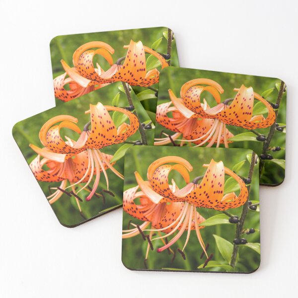 Item preview, Turk's Cap Lilly designed and sold by circa24.