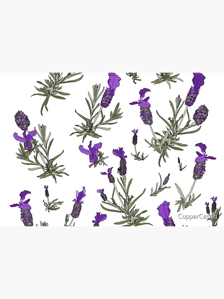 Lavender by CopperCatkin