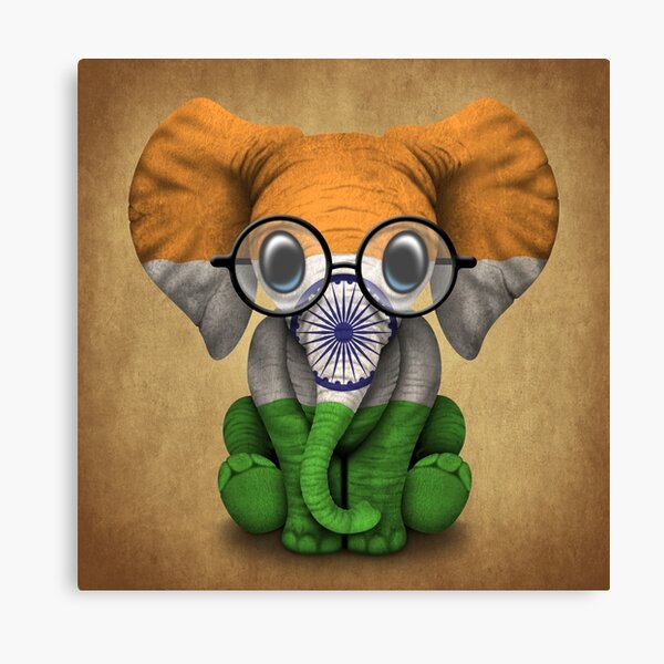 Colourful Indian Elephant print by Dolphins DreamDesign