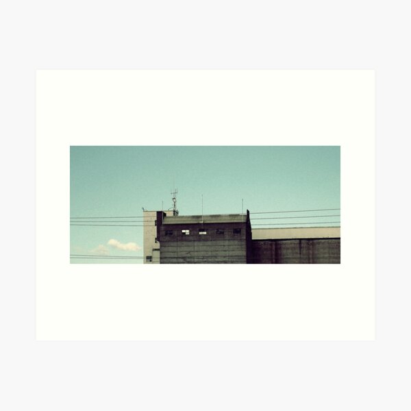 Art Print