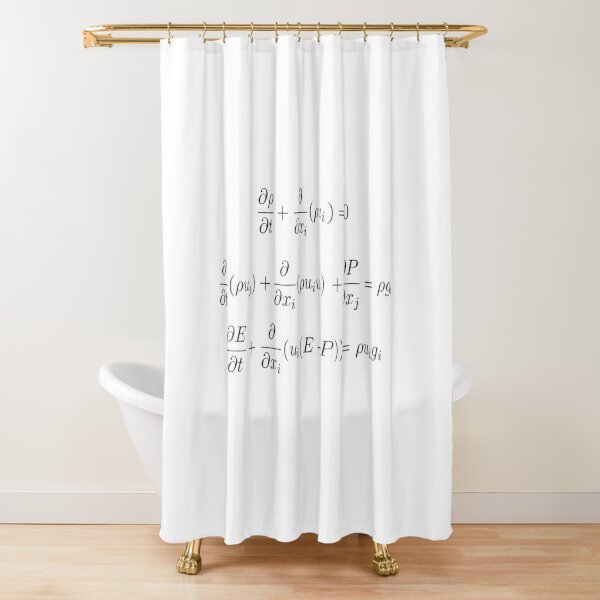 Conservation Laws for Gas Dynamics with a Classical Gravitational Field Shower Curtain