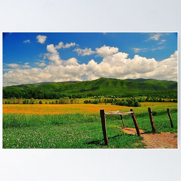 Item preview, Mountain Valley with a Fence designed and sold by joevoz.