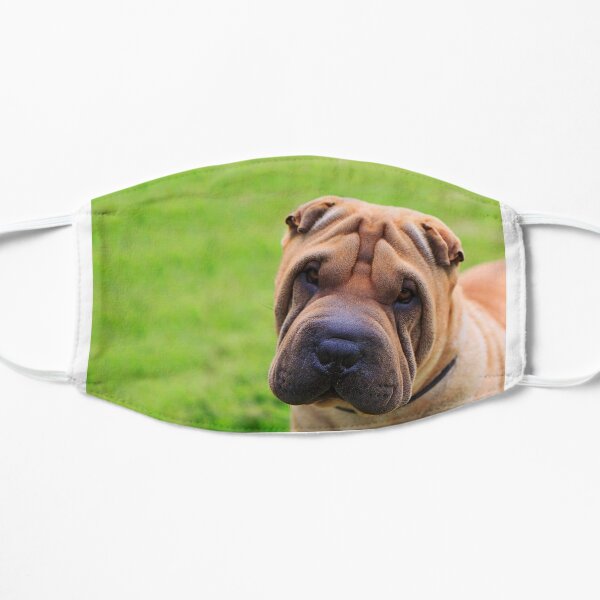 shar pei gifts