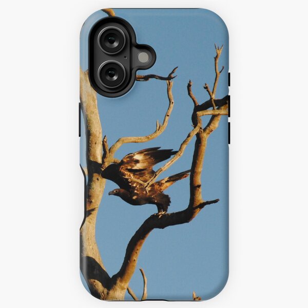 Eagle on the edge - Wollert, Victoria iPhone Tough Case