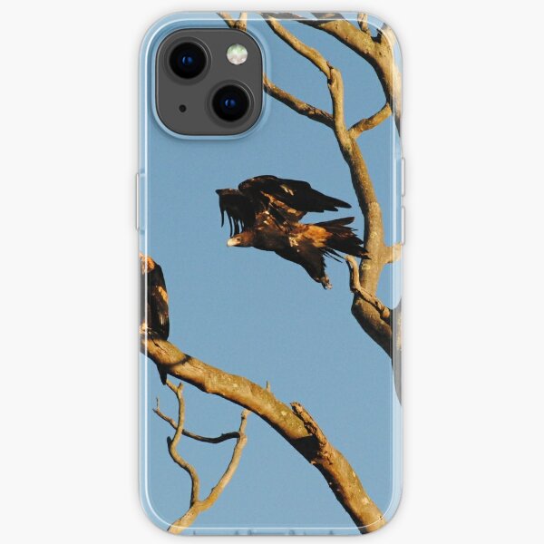 Eagle, Mid-Flight - Wollert, Victoria iPhone Soft Case