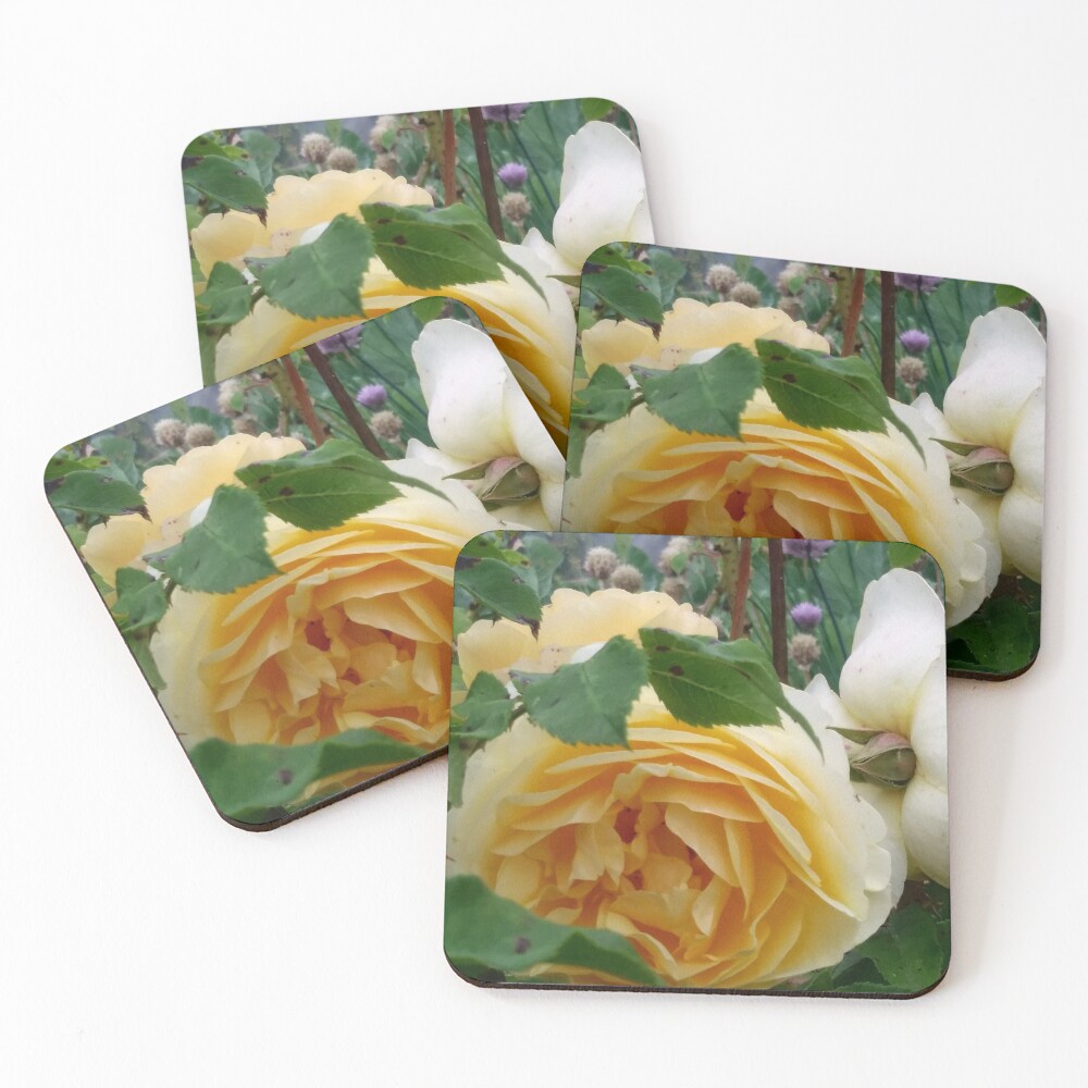 Item preview, Coasters (Set of 4) designed and sold by casakaede.
