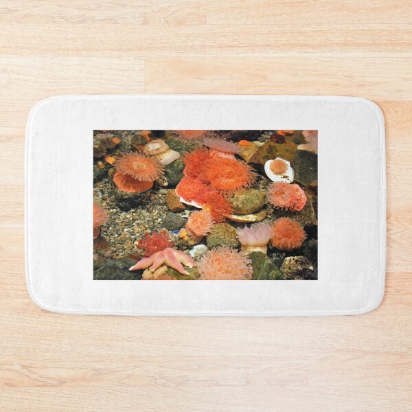 Item preview, Tidal Pool designed and sold by Schummi.