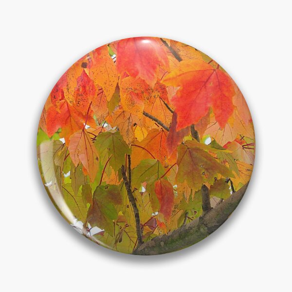 Artikelvorschau, Herbst Farbe entworfen und verkauft von Brenda Burnett.