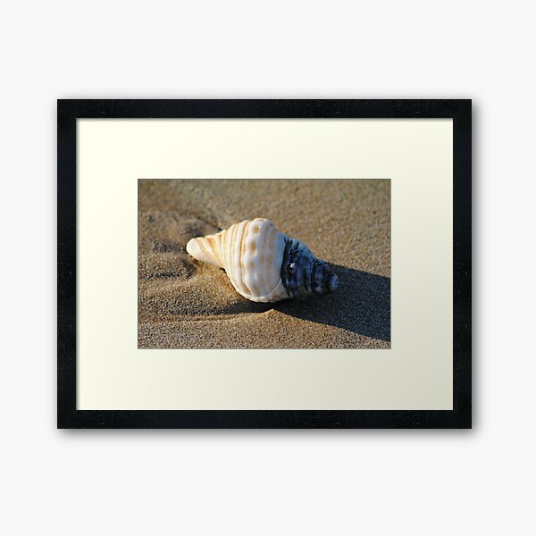 Memory of the ocean Framed Art Print