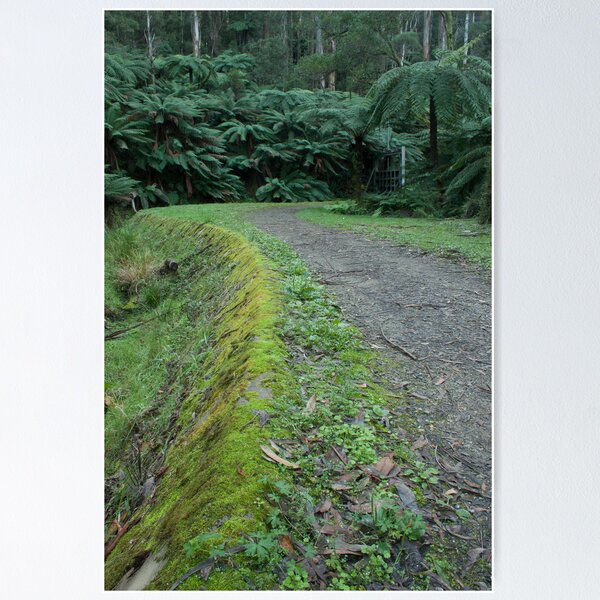 Item preview, O'Shannassy Aqueduct Trail designed and sold by Timo Balk.