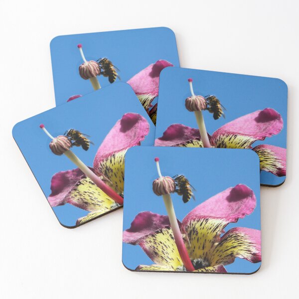 Item preview, Trastabillar designed and sold by heatherfriedman.