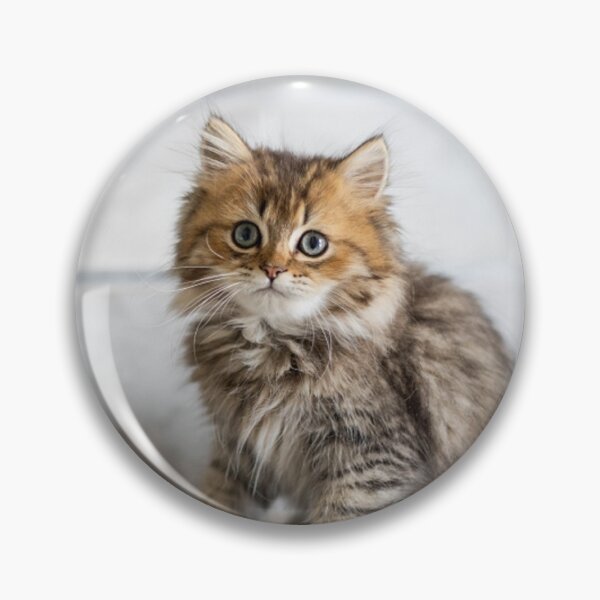 Item preview, Cute Kitty Wants Some Love! designed and sold by Tim Thompson.