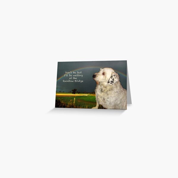 Sympathy Card For Pet Greeting Card