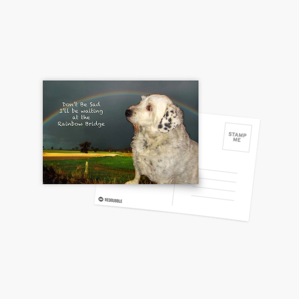 Sympathy Card For Pet Postcard