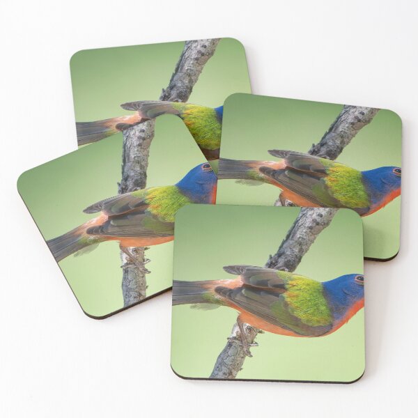 Item preview, Male Painted Bunting  designed and sold by Bonnie T.  Barry.