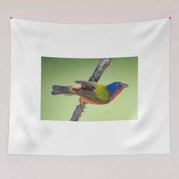 Item preview, Male Painted Bunting  designed and sold by Bonnie T.  Barry.