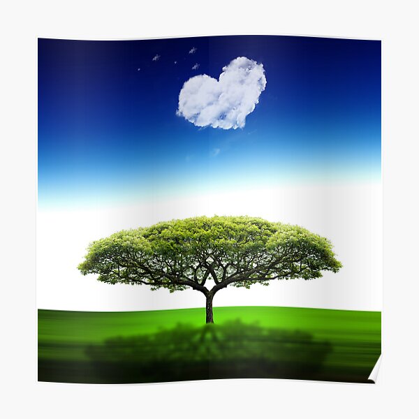 Boîte coeur Poster