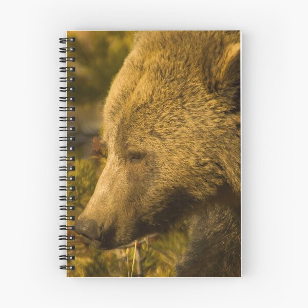 Item preview, Grizzly Sow-Signed-4855 designed and sold by JL Woody Wooden.