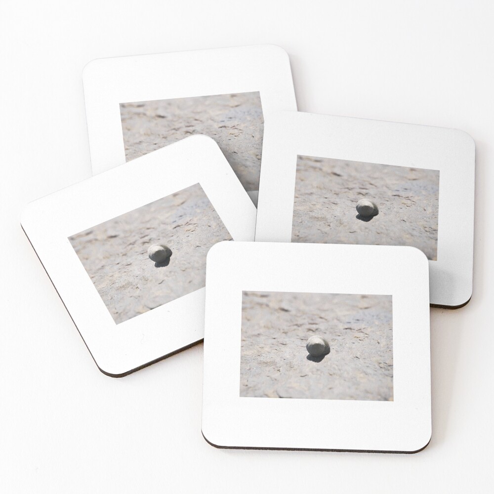 Item preview, Coasters (Set of 4) designed and sold by millsofsp.
