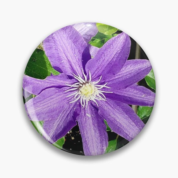 Item preview, Big Purple Flower designed and sold by ChicknDoodlSoup.