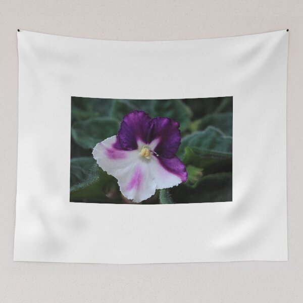 Item preview, African Violet Color Beauty designed and sold by Brenda Burnett.