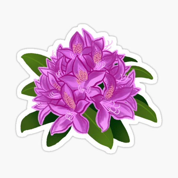 RHODODENDRON Sticker