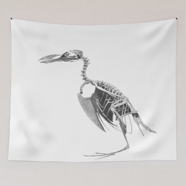 Item preview, Bird Skeleton designed and sold by Slydell1.