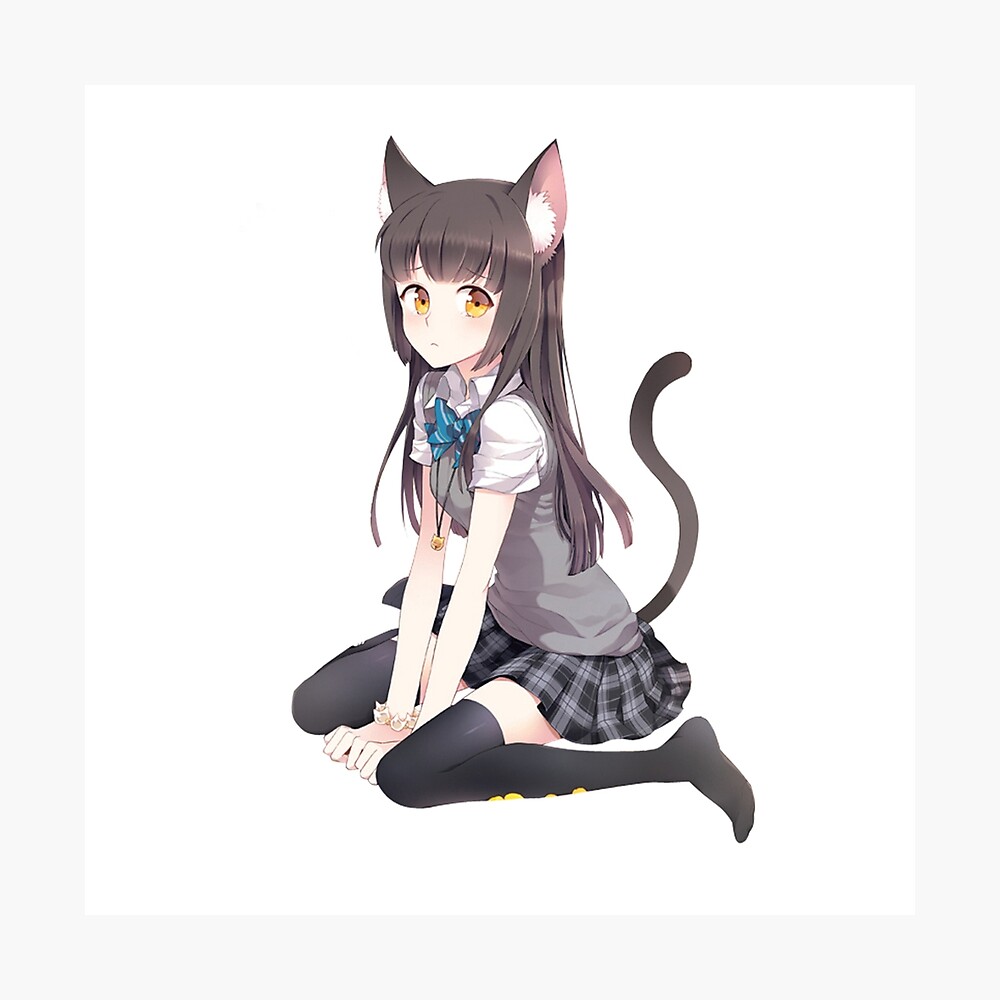 Anime Cat Girl