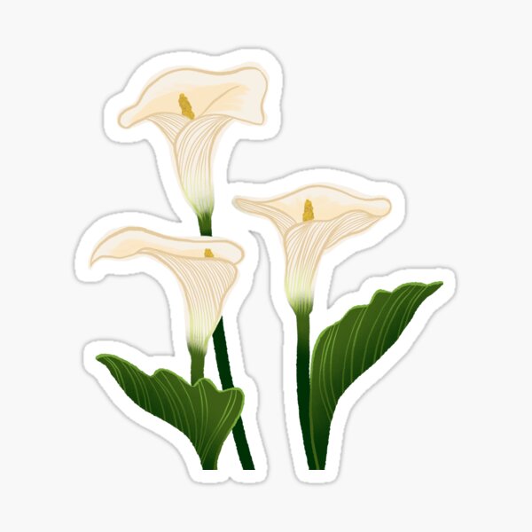 CALLA LILY Sticker