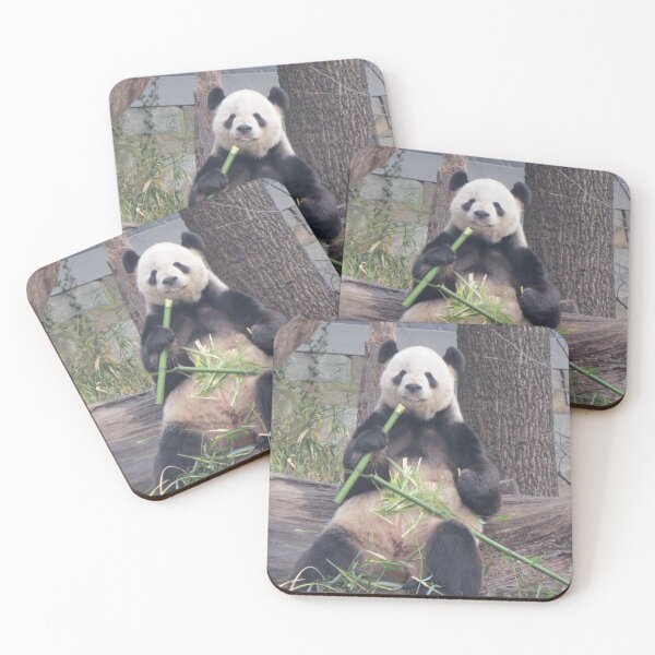 Item preview, Giant Panda Tian Tian at the National Zoo designed and sold by Zoo and Nature Photography by Karie.