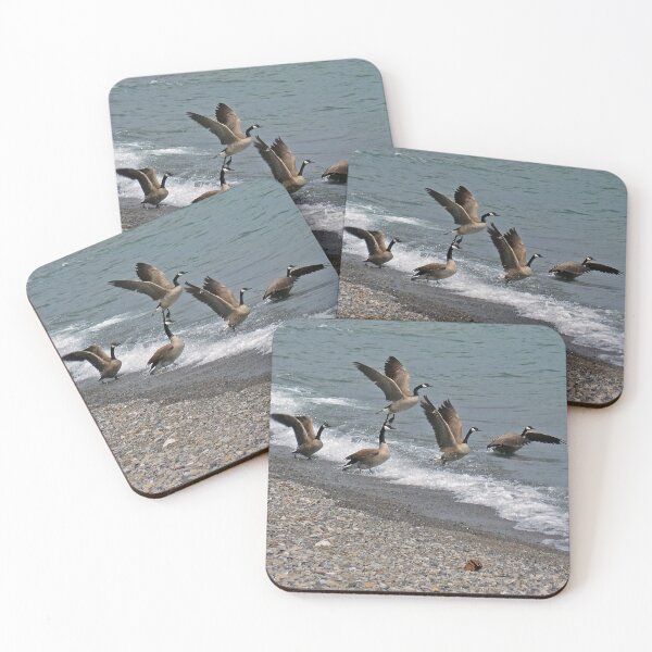Item preview, Lake Tahoe Geese on the Move designed and sold by Sally White.