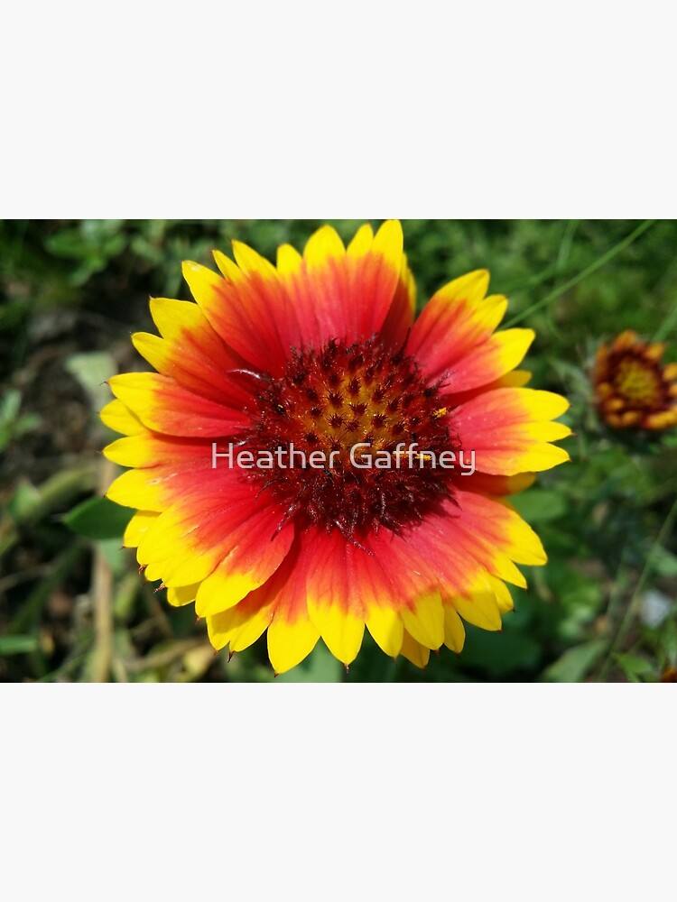 Thumbnail 5 of 5, Mask, Red and Yellow Sunflower designed and sold by Heather Gaffney.