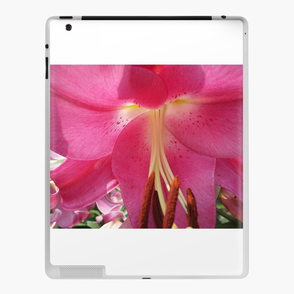 Item preview, iPad Skin designed and sold by MamaCre8s.