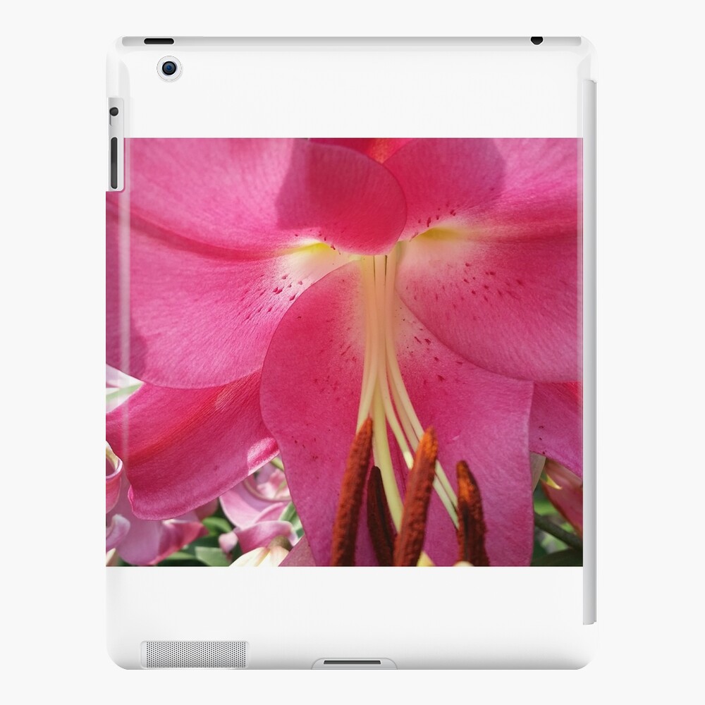 Item preview, iPad Snap Case designed and sold by MamaCre8s.