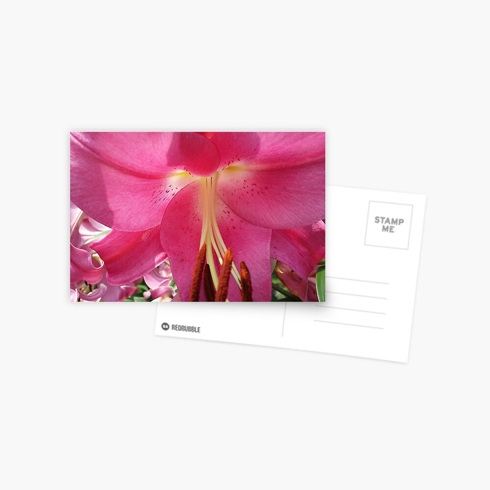 Item preview, Postcard designed and sold by MamaCre8s.