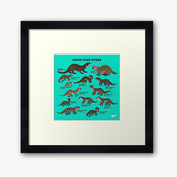 Item preview, Know Your Otters designed and sold by Peppermint Narwhal.