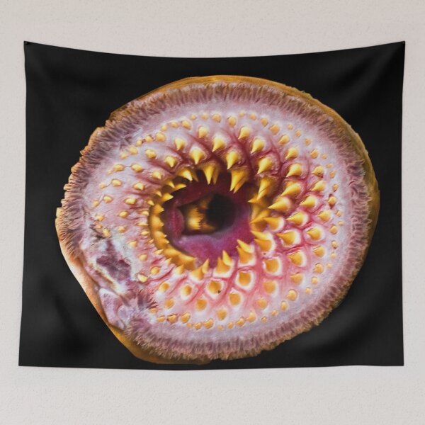 Item preview, Lamprey eel mask designed and sold by jellyrelish.
