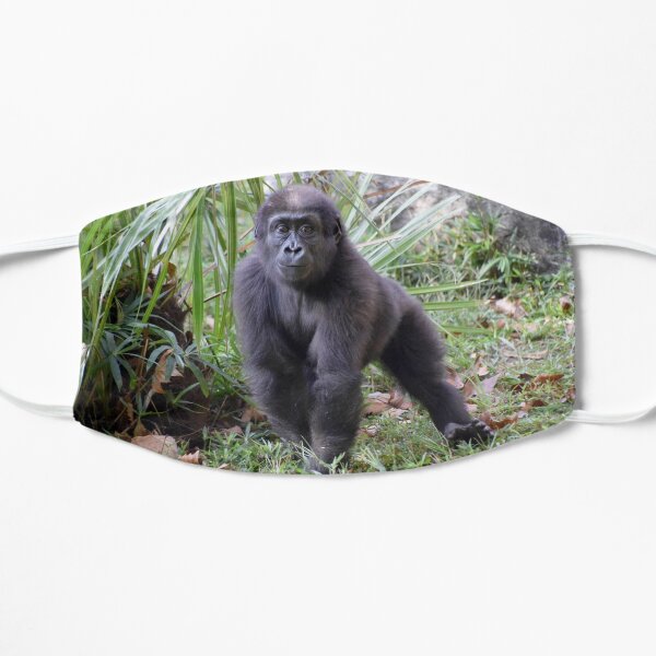 Moke den Gorilla im National Zoo Flache Maske