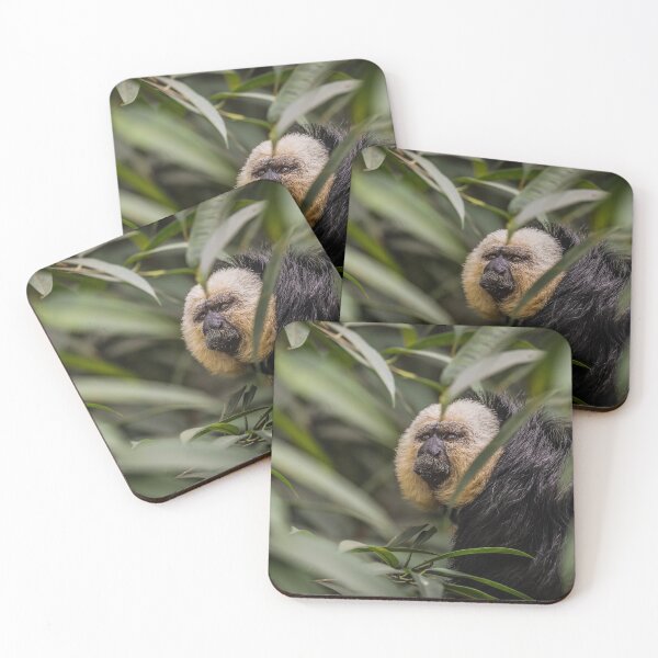 Item preview, Saki monkey designed and sold by Luis Sandoval.