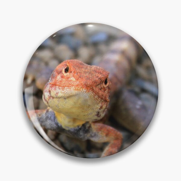 Item preview, Pilbara local designed and sold by evolutionx.