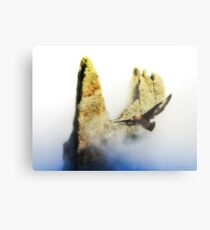 Vastness Metal Print
