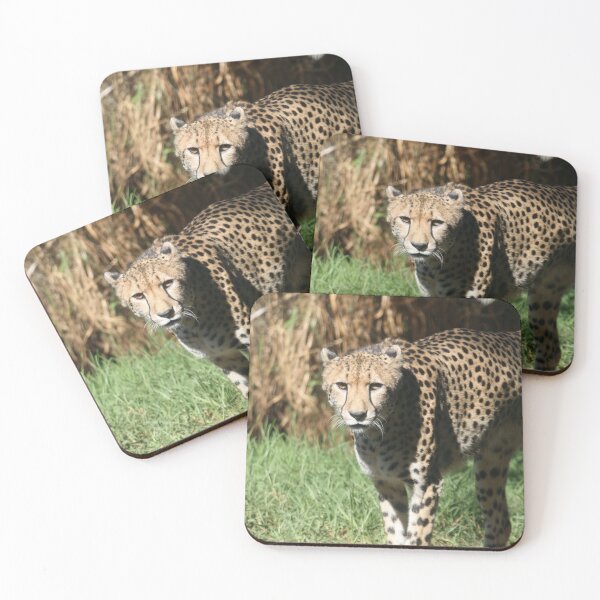 Item preview, I Dare You To Run designed and sold by LeanneAllen.