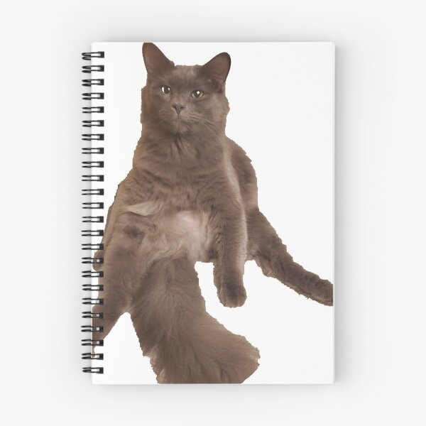 Item preview, Chonky or Fluffy? designed and sold by kharrison9590.
