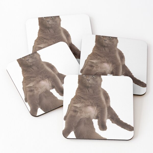 Item preview, Chonky or Fluffy? designed and sold by kharrison9590.