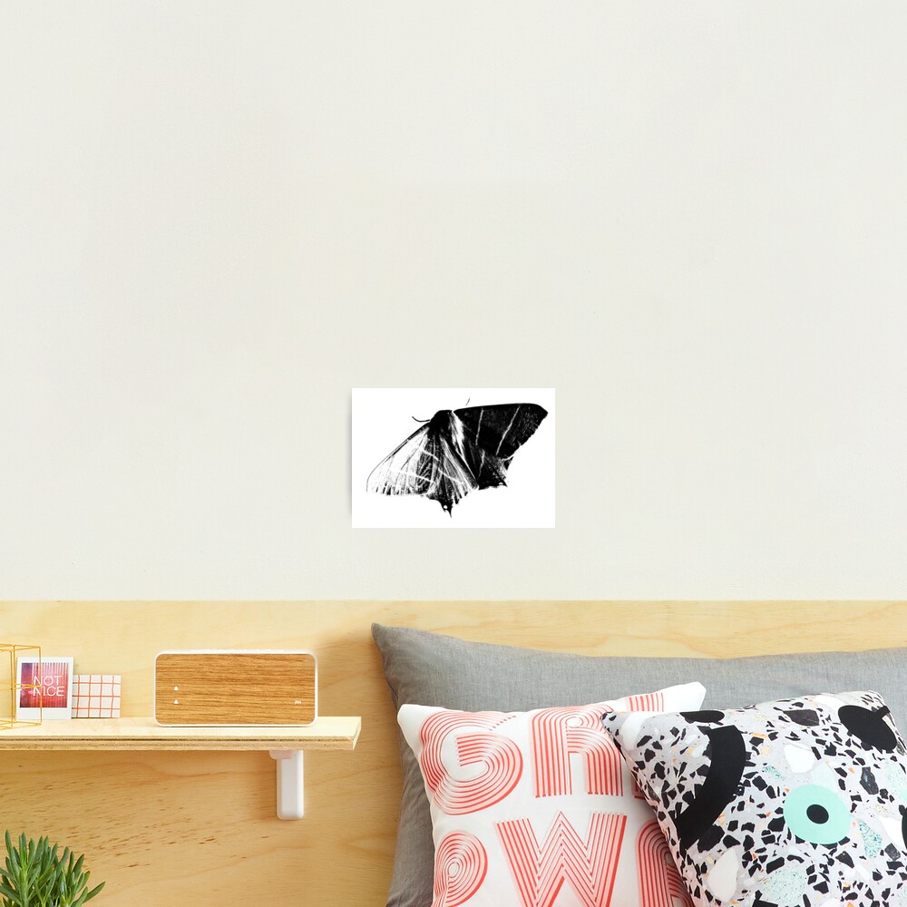 Item preview, Photographic Print designed and sold by OurWorldTree.